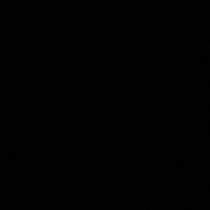 Meet your Posher, Tabitha